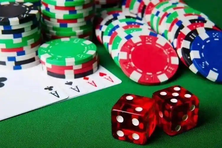 Pengalaman bermain Bingo online interaktif di molaplay
